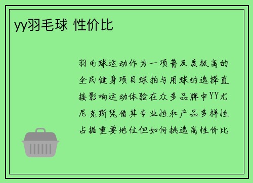 yy羽毛球 性价比